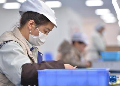 甘肅康樂(lè):鄉(xiāng)村就業(yè)工廠(chǎng)節(jié)后開(kāi)工忙